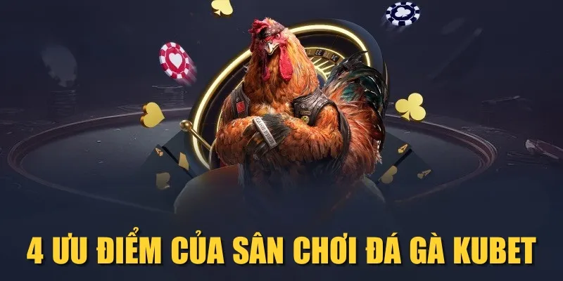 4 ưu điểm của sân chơi đá gà KUBET